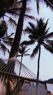 Ashley Madekwe feet photo thumbnail