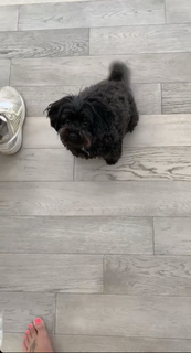 Demi Lovato feet photo thumbnail