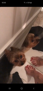Franciely Freduzeski feet photo thumbnail