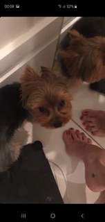 Franciely Freduzeski feet photo thumbnail