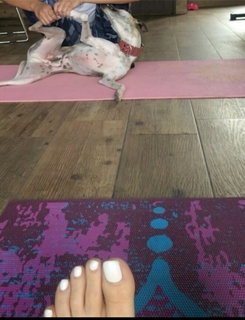 Yoseline Hoffman feet photo thumbnail