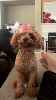Qimmah Russo feet photo thumbnail