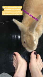 Kaley Cuoco feet photo thumbnail