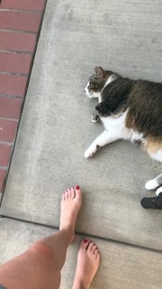 Angela Kinsey feet photo thumbnail
