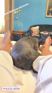 Federica Pellegrini feet photo thumbnail