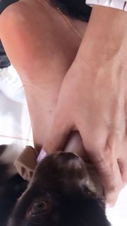 Alaine Crissiê feet photo thumbnail