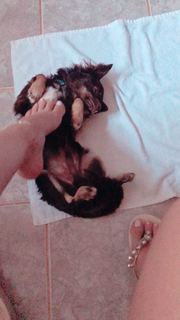 Alaine Crissiê feet photo thumbnail