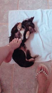 Alaine Crissiê feet photo thumbnail