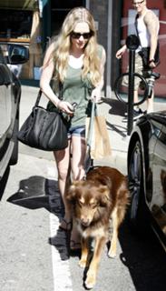 Amanda Seyfried feet photo thumbnail