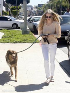 Amanda Seyfried feet photo thumbnail