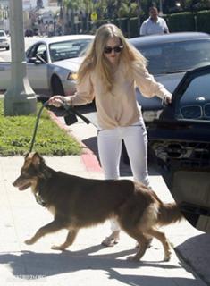 Amanda Seyfried feet photo thumbnail