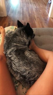 Adriene Mishler feet photo thumbnail