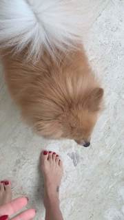 Flávia Alessandra feet photo thumbnail