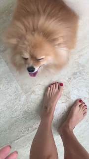 Flávia Alessandra feet photo thumbnail