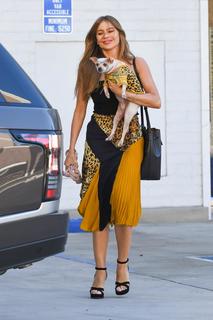Sofía Vergara feet photo thumbnail