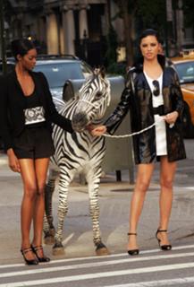 Adriana Lima feet photo thumbnail