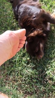 Alaine Crissiê feet photo thumbnail