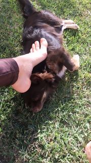 Alaine Crissiê feet photo thumbnail