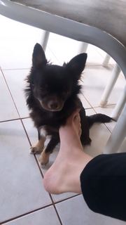 Alaine Crissiê feet photo thumbnail