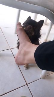 Alaine Crissiê feet photo thumbnail