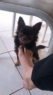 Alaine Crissiê feet photo thumbnail