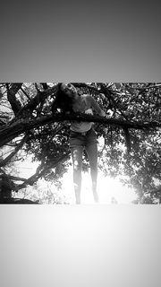 Juliana Paiva feet photo thumbnail