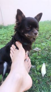 Alaine Crissiê feet photo thumbnail