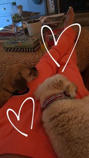 Nina Agdal feet photo thumbnail