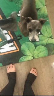 Jenna Marbles feet photo 3