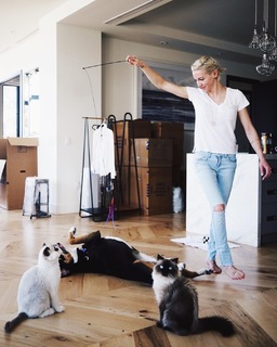 Katie Cassidy feet photo thumbnail