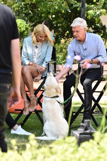 Holly Willoughby feet photo thumbnail