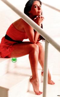 Giovanna Antonelli feet photo 4
