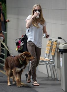 Amanda Seyfried feet photo thumbnail