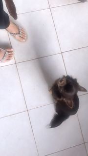 Alaine Crissiê feet photo thumbnail