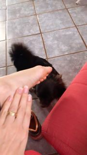 Alaine Crissiê feet photo thumbnail