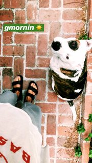 Zoey Deutch feet photo thumbnail