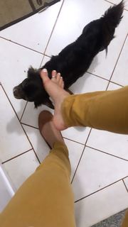 Alaine Crissiê feet photo thumbnail