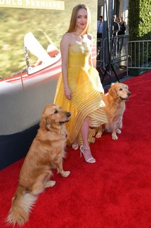 Amanda Seyfried feet photo thumbnail