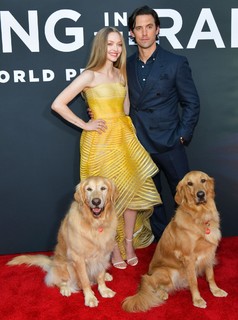 Amanda Seyfried feet photo thumbnail