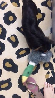 Alaine Crissiê feet photo thumbnail