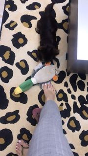 Alaine Crissiê feet photo thumbnail