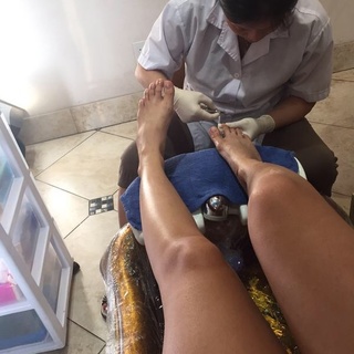 Alia Shelesh feet photo thumbnail