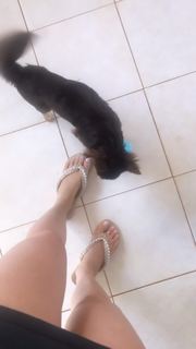 Alaine Crissiê feet photo thumbnail