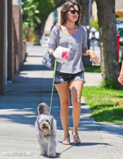 Rachel Bilson feet photo thumbnail