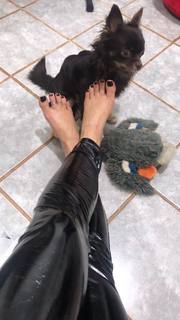 Alaine Crissiê feet photo thumbnail