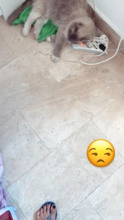Valentina Vignali feet photo thumbnail