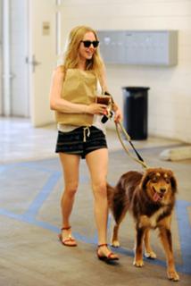 Amanda Seyfried feet photo thumbnail