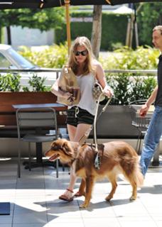 Amanda Seyfried feet photo thumbnail