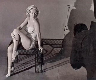 Marilyn Monroe feet photo thumbnail