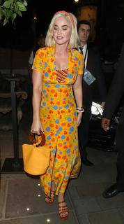 Katy Perry feet photo thumbnail